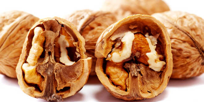 Collagene negli alimenti Collagene negli alimenti