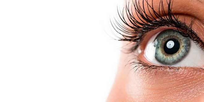 Supporto per la Vista