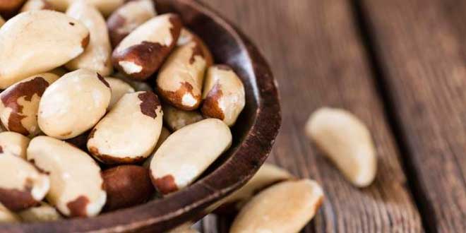 Le Noci del Brasile, un ottimo alleato Le Noci del Brasile, un ottimo alleato