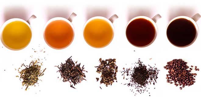 Fonti di Caffeina Fonti di Caffeina