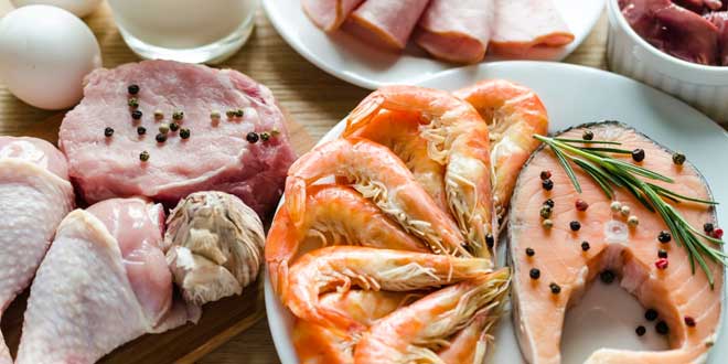 Fonti alimentari di creatina Fonti alimentari di creatina