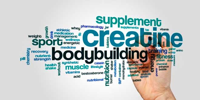 Cos'è la Creatina Etil Estere?