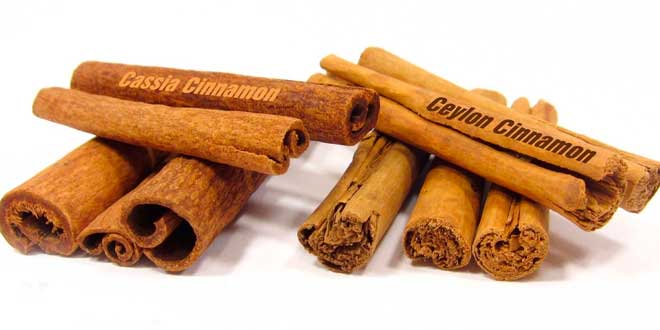 Meglio cassia o ceylon?