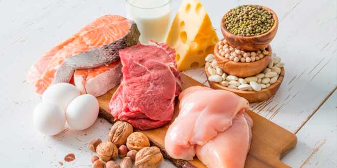 Aminogen per digerire le proteine Aminogen per digerire le proteine