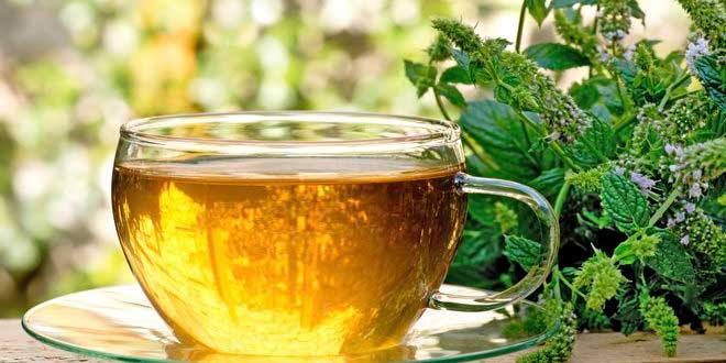 Tisane per la memoria