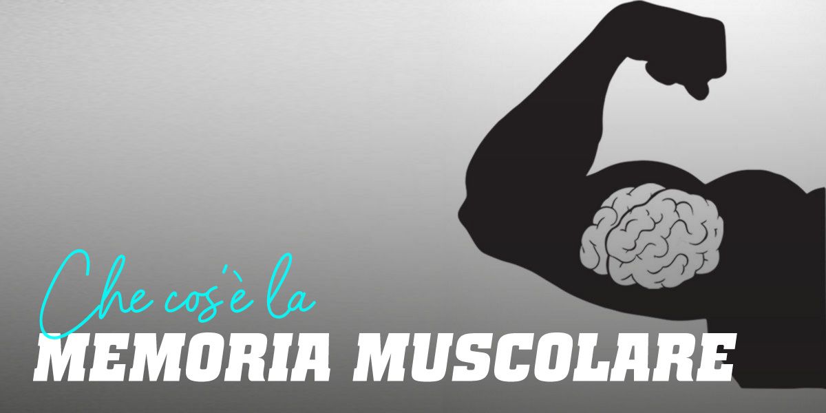 Per Memoria Muscolare Si Intende Dattilografia
