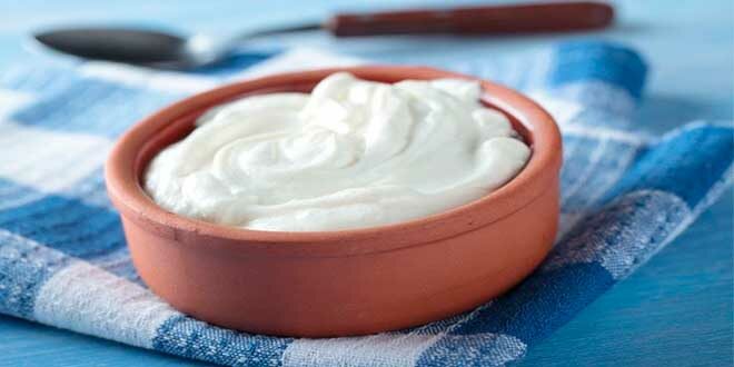 Lo yogurt, un ottimo supporto per il sistema immunitari Lo yogurt, un ottimo supporto per il sistema immunitari