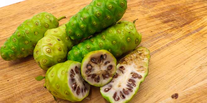 Tutte le proprietà del noni Tutte le proprietà del noni