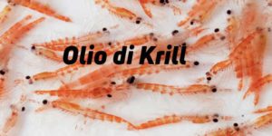 Olio di Krill