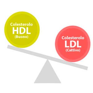 Colesterolo HDL e LDL