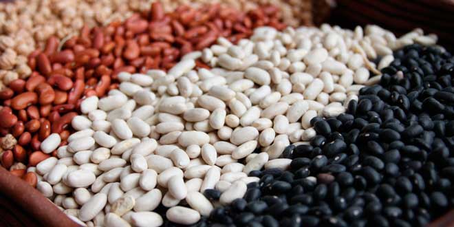 Fagioli per migliorare il testosterone Fagioli per migliorare il testosterone