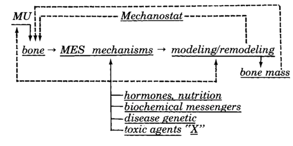 Grafico densità Grafico densità
