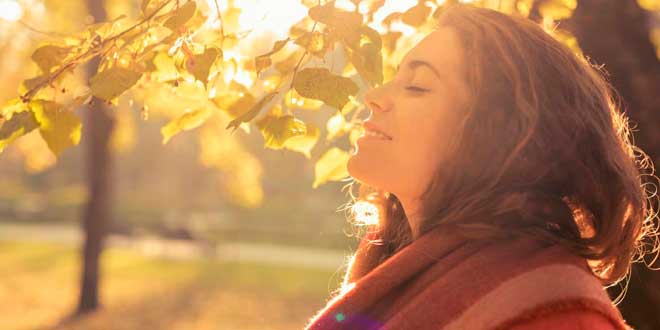 Benefici piante Adattogene Benefici piante Adattogene