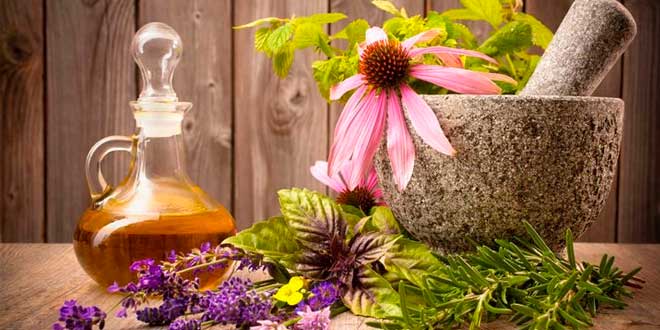 Come Assumere Piante Adattogene Come Assumere Piante Adattogene