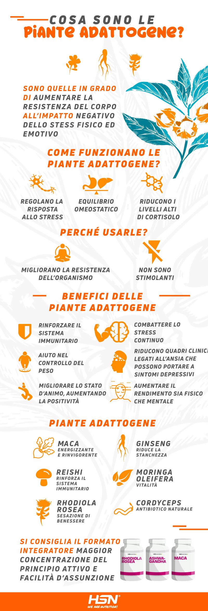 Piante Adattogene Piante Adattogene