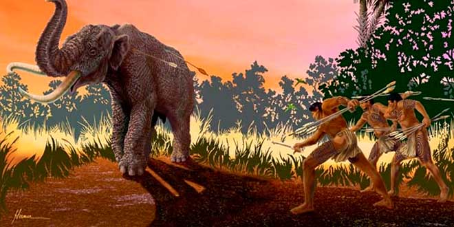 Proteine Paleo Proteine Paleo