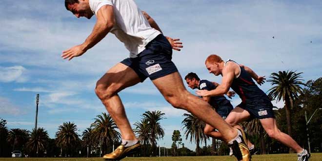 Benefici di PeptoPro per l'allenamento Benefici di PeptoPro per l'allenamento