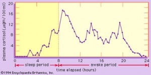 Grafico 1
