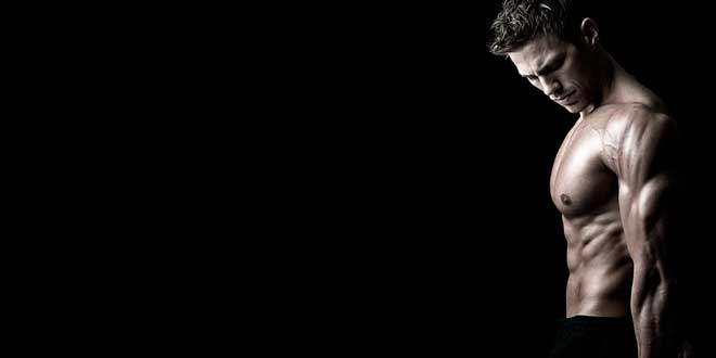 Creatina nella definizione Creatina nella definizione