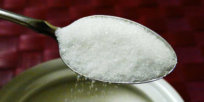 stevia zucchero