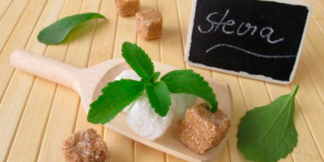 Stevia – Tutti i benefici e come agisce da anti-diabetico