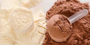 Proteine in polvere