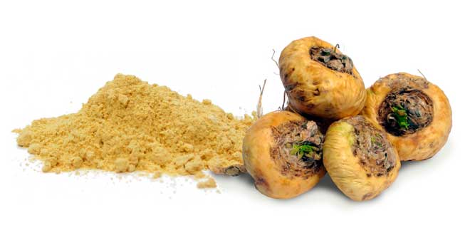 Maca andina Maca andina