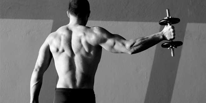 Cos'è l'intra-workout