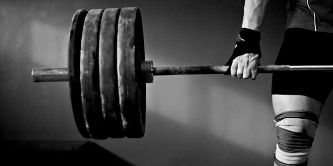 Punti chiave del protocollo intra-workout