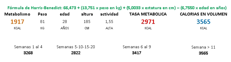 Metabolismo Metabolismo