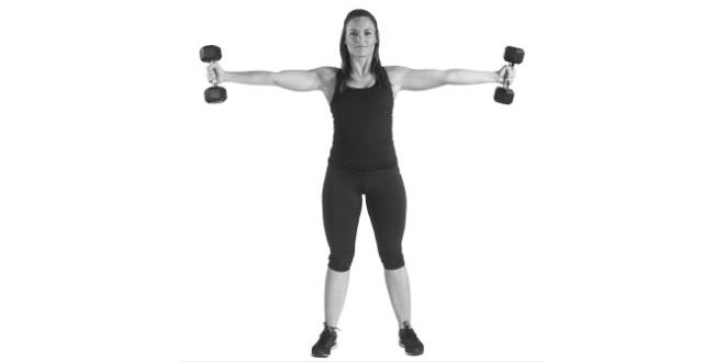 Ferro e allenamento Ferro e allenamento