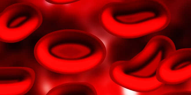 Ferro e globuli rossi Ferro e globuli rossi