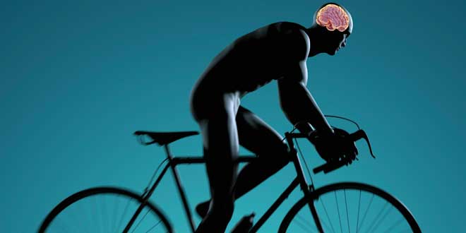 Miglioramento della funzione cognitiva Miglioramento della funzione cognitiva