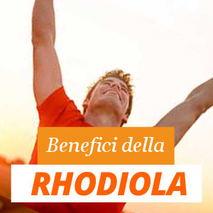 Quali benefici apporta la rhodiola Quali benefici apporta la rhodiola