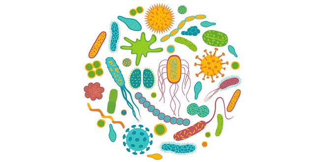 Probiotici Probiotici