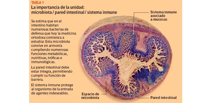 Salute intestinale - schema Salute intestinale - schema