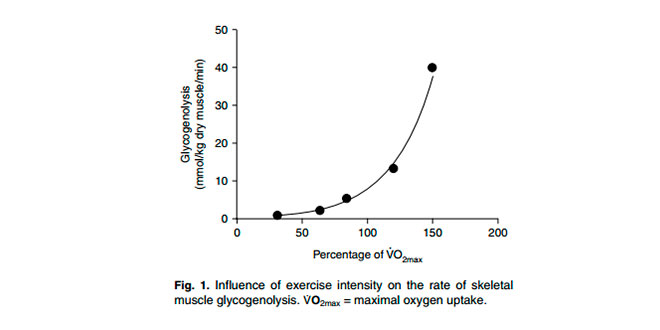 Grafico sforzo VO2max Grafico sforzo VO2max
