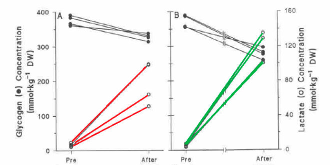 Contrazione muscolare fatica