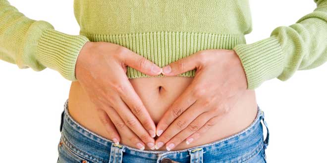 assorbimento nutrienti 