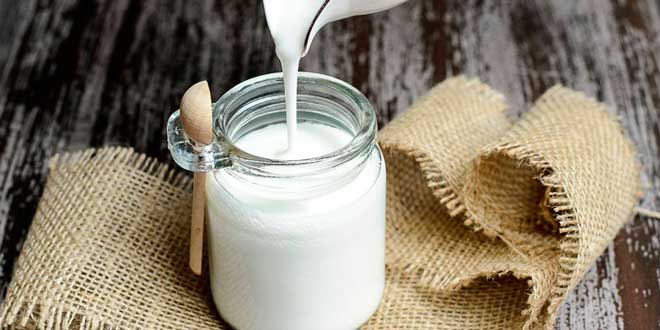 Kefir probiotico Kefir probiotico