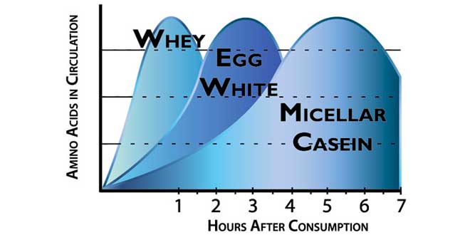 Velocità assorbimento