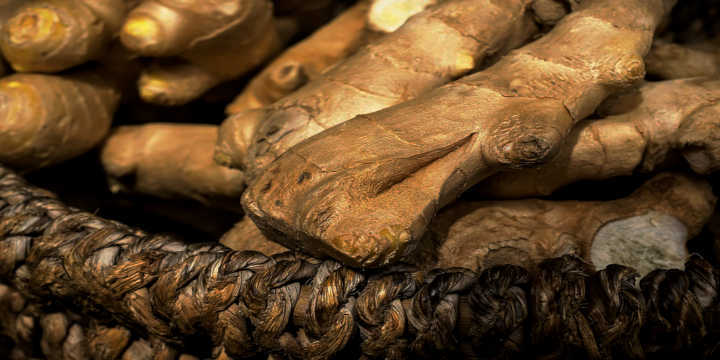 Tubero di zenzero e sue proprietà Tubero di zenzero e sue proprietà