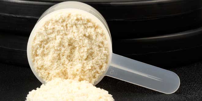 proteina idrolizzata 