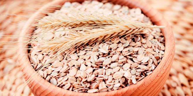 Avena fitness Avena fitness