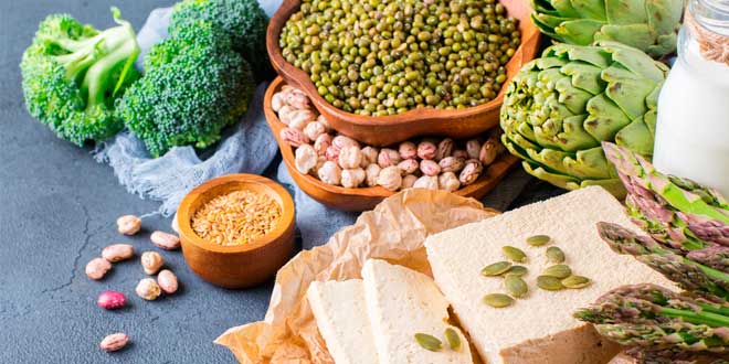 Fonti Proteiche Vegane Fonti Proteiche Vegane