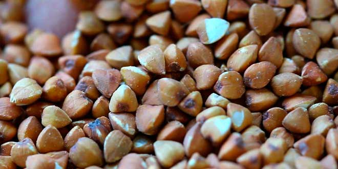 Grano Saraceno Grano Saraceno