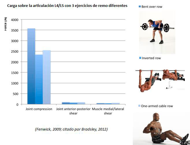 Carico spinale rematore