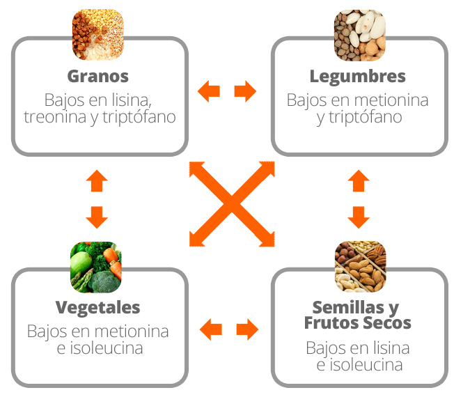 Combinare Proteine Vegane Combinare Proteine Vegane