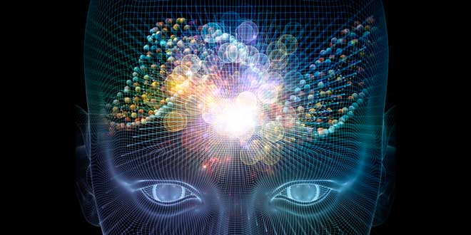 Nootropi e Cervello Nootropi e Cervello