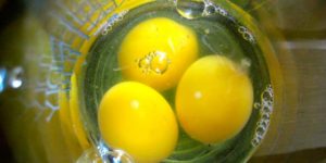 Perchè includere le uova nella nostra dieta